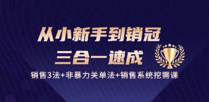 从小新手到销冠 三合一速成:销售3法 非暴力关单法 销售系统挖需课 (27节)
