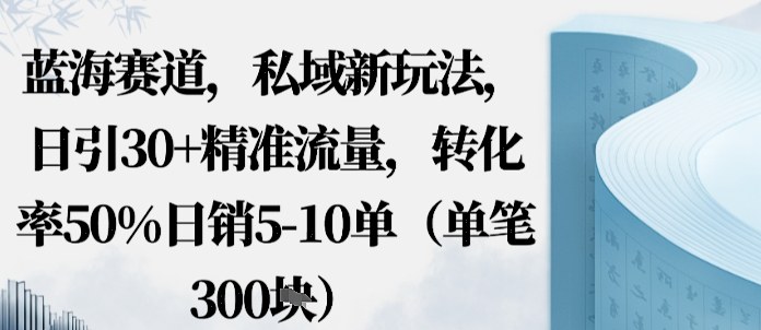 蓝海赛道，私域新玩法，日引30 精准流量，转化率50%日销5-10单（单笔3张）-51云资源