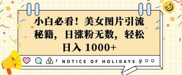 小白必看,美女图片引流秘籍,日涨粉无数,轻松日入几张【揭秘】-51云资源