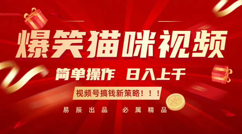 爆笑猫咪视频：简单操作，日入过千，视频号搞钱新策略！-51云资源