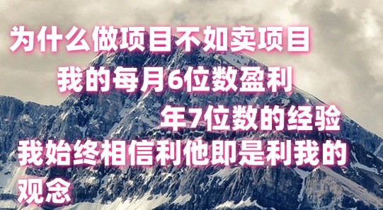 做项目不如卖项目，每月6位数盈利，年7位数经验-51云资源