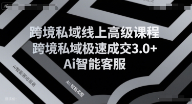 跨境私域线上高级课程，跨境私域极速成交3.0 Ai智能客服-51云资源