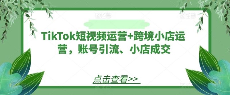 TikTok短视频运营 跨境小店运营，账号引流、小店成交-51云资源