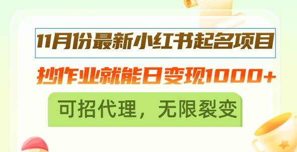 （13256期）11月份最新小红书起名项目，抄作业就能日变现1000 ，可招代理，无限裂变-51云资源
