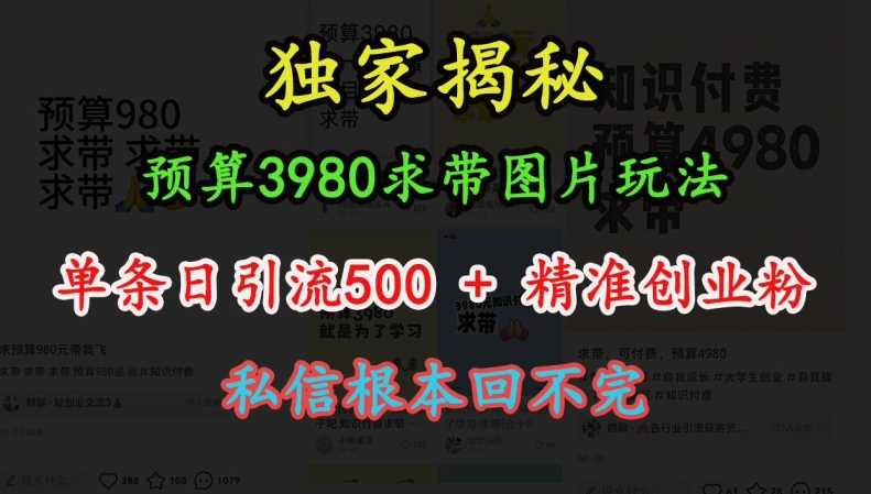 预算3980求带 图片玩法,单条日引流500 精准创业粉,私信根本回不完