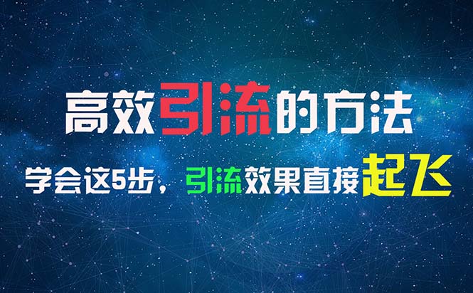 (11776期)高效引流的方法,可以帮助你日引300 创业粉,一年轻松收入30万,比打工强