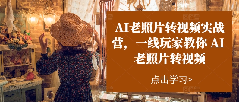 (11477期)AI老照片转视频实操训练营,一线玩家教你AI老照片转视频-51云资源