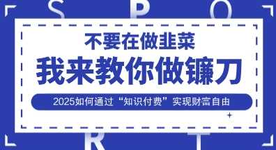 韭菜生涯终结者，我来教你做镰刀，2025如何通过“知识付费”实现财F自由【揭秘】-51云资源
