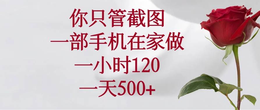 （14248期）你只管截图，一部手机在家做，一小时120，一天500-51云资源