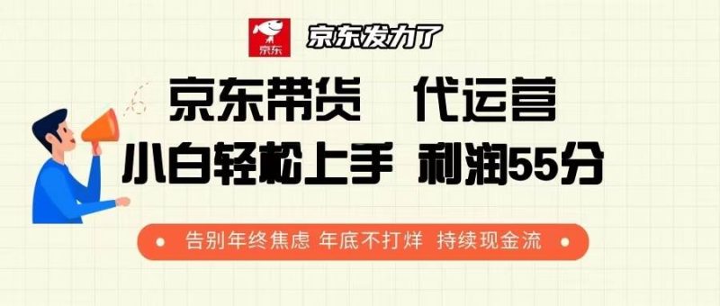 (13833期)京东带货 代运营 利润55分 告别年终焦虑 年底不打烊 持续现金流-51云资源