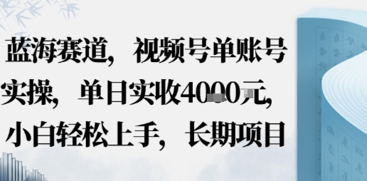 蓝海赛道，视频号单账号实操，单日实收1k，小白轻松上手，长期项目-51云资源