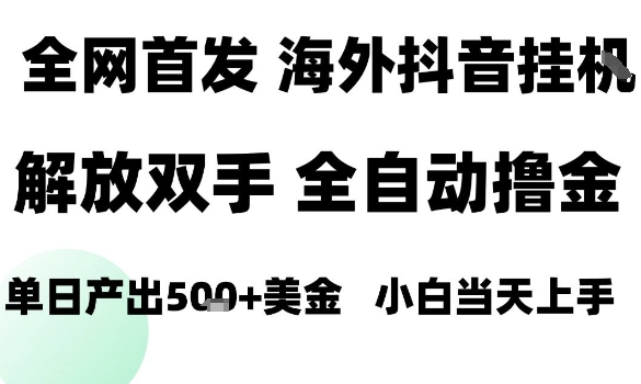 海外抖音无人直播,单日产出1.5k ,长期稳定,新手可玩,无脑操作【揭秘】