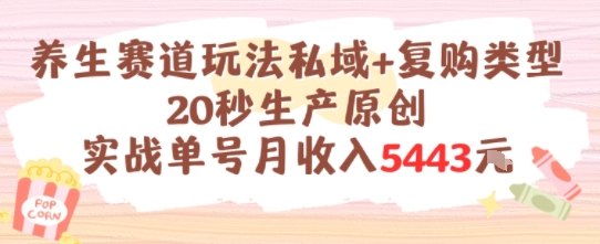 养生赛道玩法私域 复购类型，20秒生产原创实战单号月收入5k-51云资源