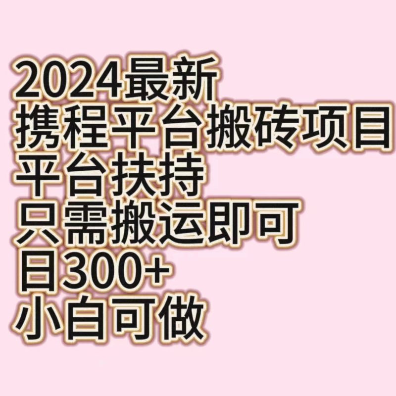 2024最新携程平台搬砖项目，平台扶持只需搬运即可，日300 ，小白可做-51云资源