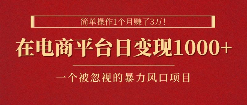 （11160期）简单操作1个月赚了3万！在电商平台日变现1000 ！一个被忽视的暴力风口…-51云资源