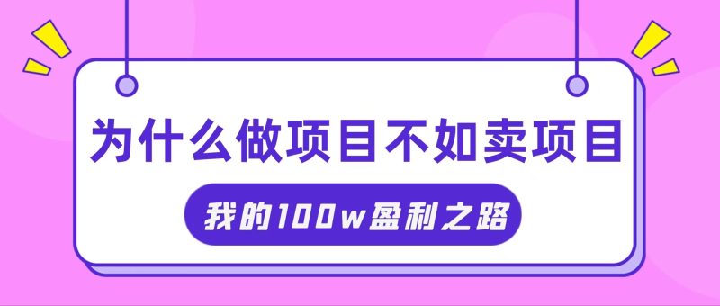 (11893期)抓住互联网创业红利期,我通过卖项目轻松赚取100W-51云资源