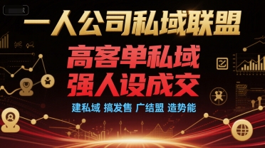 一人公司私域联盟,高客单私域,强人设成交,建私域 搞发售 广结盟 造势能-51云资源