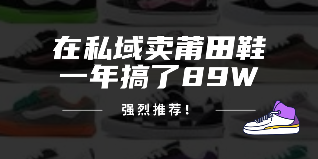 （12370期）24年在私域卖莆田鞋，一年搞了89W，强烈推荐！-51云资源
