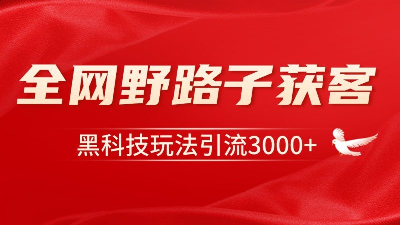 电商引流获客野路子全平台暴力截流获客日引500-51云资源