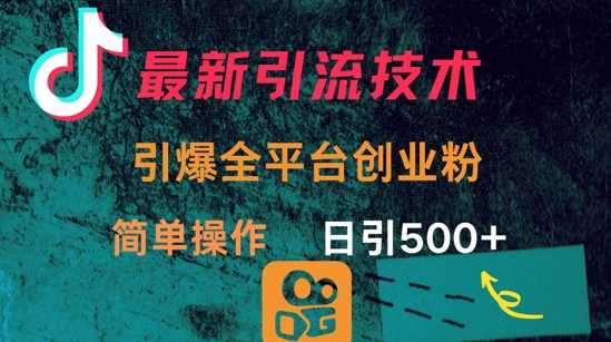 最新引流方法，引爆全平台的一个创业粉，简单操作日引300-51云资源