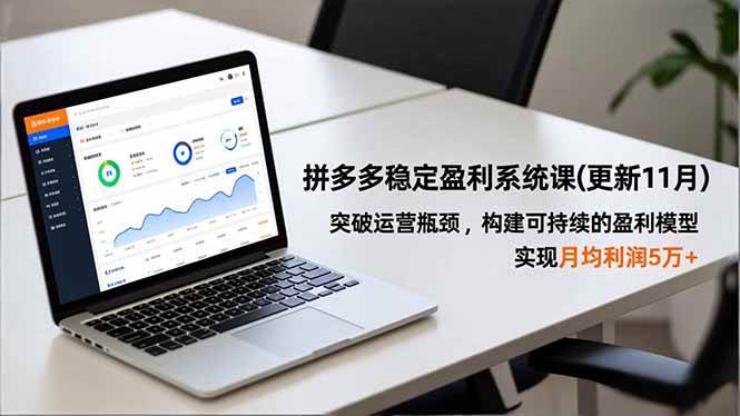(16641期)拼多多稳定盈利系统课(更新11月),突破运营瓶颈,构建可持续的盈利模型,实现月均利润5万