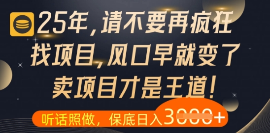 什么?25年你还在疯狂找项目做,醒醒吧,看完这些你全都懂了【揭秘】