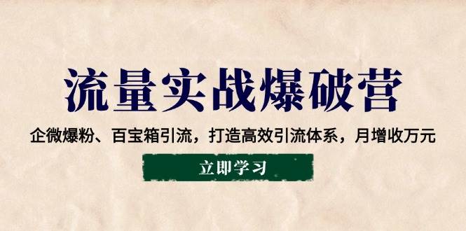 (14039期)流量实战爆破营:企微爆粉、百宝箱引流,打造高效引流体系,月增收万元-51云资源
