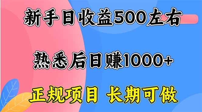 （16132期）新手日收益500  正规项目 长期可做-51云资源