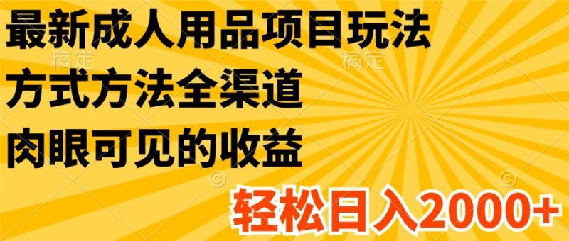 最新成人用品项目玩法,方式方法全渠道,肉眼可见的收益,轻松日入2000-51云资源
