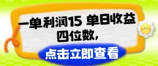 改手机套餐一单利润15，单日收益四位数，冷门蓝海项目-51云资源