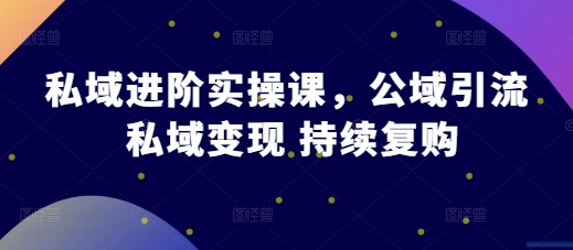 私域进阶实操课，公域引流 私域变现 持续复购-51云资源