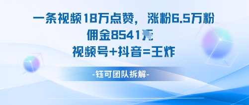 一条视频18W点赞，涨粉6.5W粉佣金8541米，视频号 抖音=王炸-51云资源