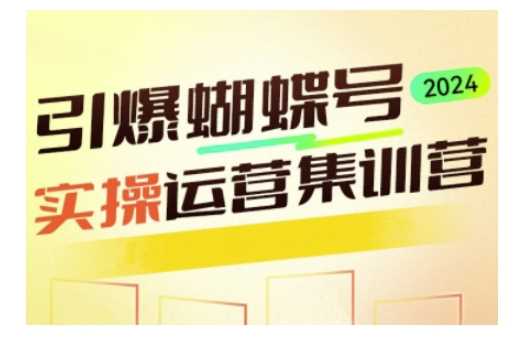 引爆蝴蝶号实操运营，助力你深度掌握蝴蝶号运营，实现高效实操，开启流量变现之路-51云资源