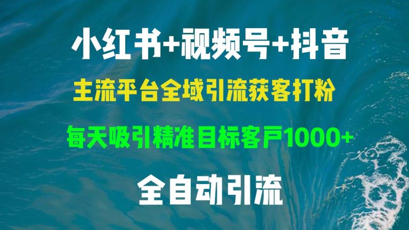（13104期）小红书，视频号，抖音主流平台全域引流获客打粉，每天吸引精准目标客户…-51云资源