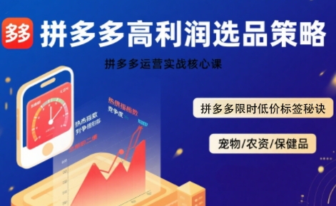 拼多多选品暴利技术实战课，拼多多高利润选品策略，拼多多限时低价标签秘诀-51云资源