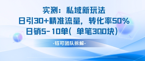 实测私域新玩法日引30加精准流量转化率50%日销5-10单每笔3张-51云资源