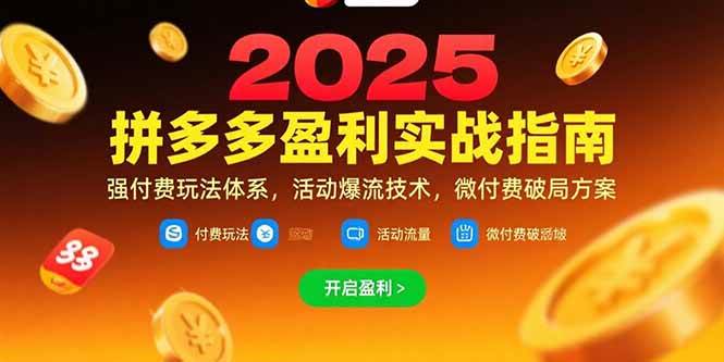 (15357期)拼多多盈利实战指南,强付费玩法,活动爆流技术,微付费破局方案(更新7月)