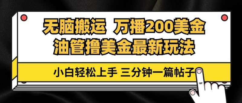 （13050期）油管无脑搬运撸美金玩法教学，万播200刀，三分钟一篇帖子，小白轻松上手-51云资源