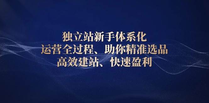 (13914期)独立站新手体系化 运营全过程,助你精准选品、高效建站、快速盈利