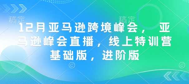 12月亚马逊跨境峰会， 亚马逊峰会直播，线上特训营基础版，进阶版-51云资源