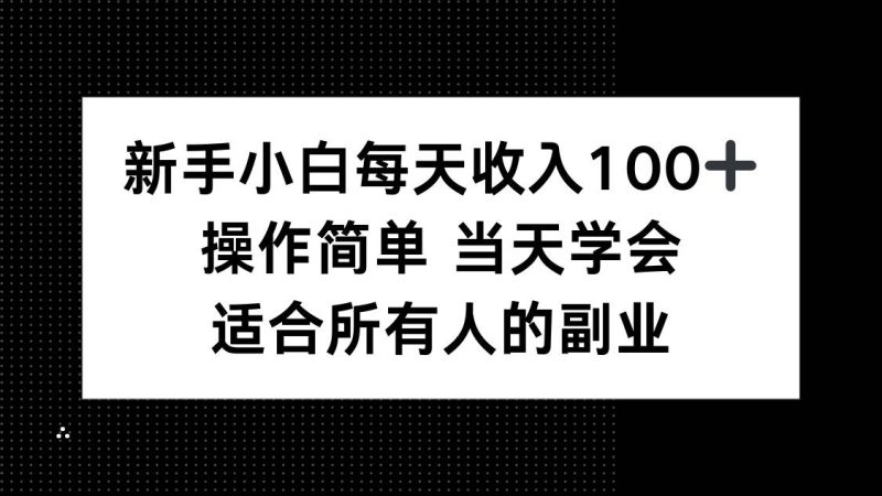 （15937期）新手小白每天收入100 ，操作简单 当天学会 ，适合所有人的副业-51云资源
