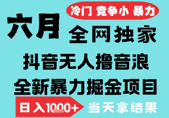 2025年6月高爆抖音无人直播最新撸音浪掘金项目,无脑日入1k ,低门槛小白可做,可矩阵放大【揭秘】-51云资源