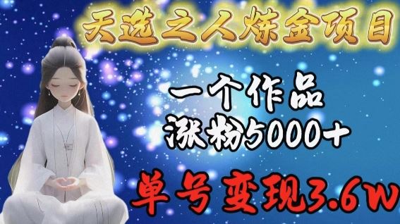 天选之人炼金项目，一个作品涨粉5000 ，单号变现3.6w【揭秘】-51云资源
