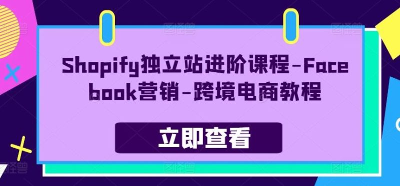 Shopify独立站进阶课程-Facebook营销-跨境电商教程-51云资源