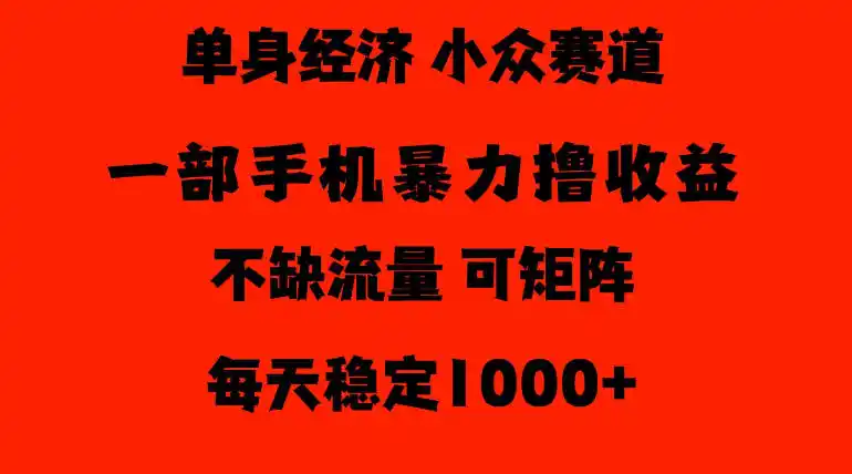 26年暴力单身经济，稳定日入500-1k，不缺流量，流量极大，冷门小众赛道，门槛低小白轻松上手【揭秘】-51云资源