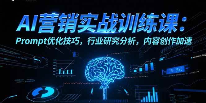 （15465期）AI营销实战训练课：Prompt优化技巧，行业研究分析，内容创作加速-51云资源