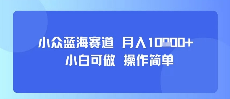 小众蓝海赛道，小白可做，操作简单，每天30分钟，月入1W-51云资源