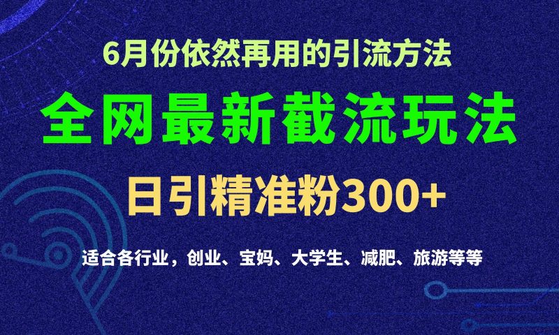2024全网最新截留玩法,每日引流突破300-51云资源