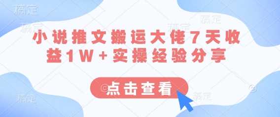 小说推文搬运大佬7天收益1W 实操经验分享-51云资源