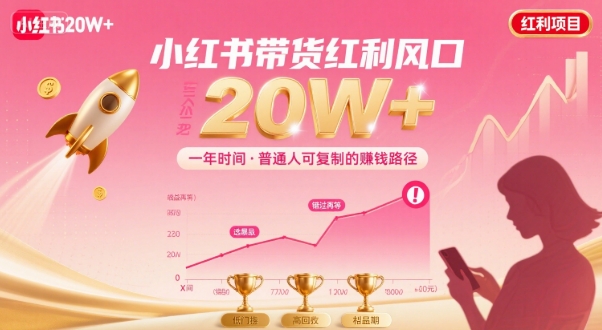 一年时间靠小红书带货项目年入20w ，最不能错的大红利项目-51云资源